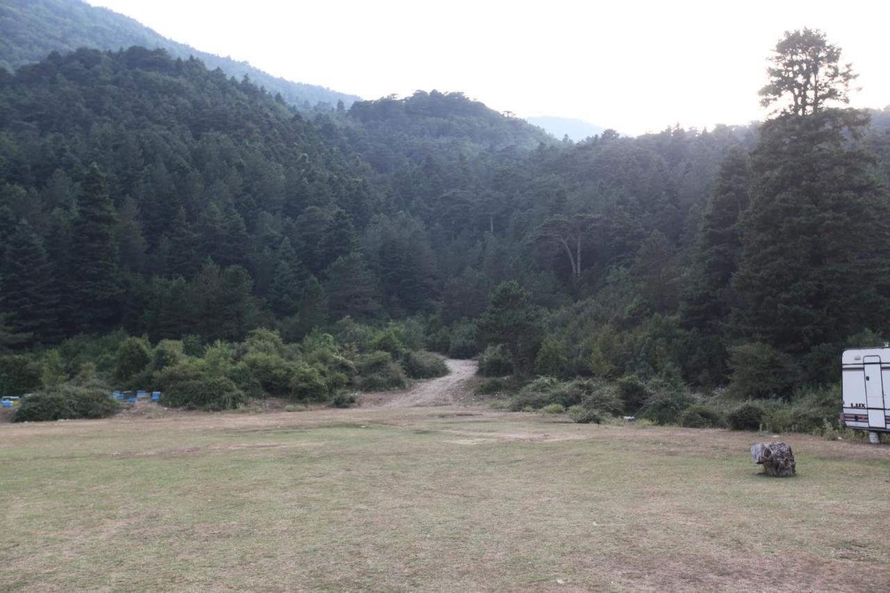 Hamiti Camping Center Dukat Zewnętrze zdjęcie