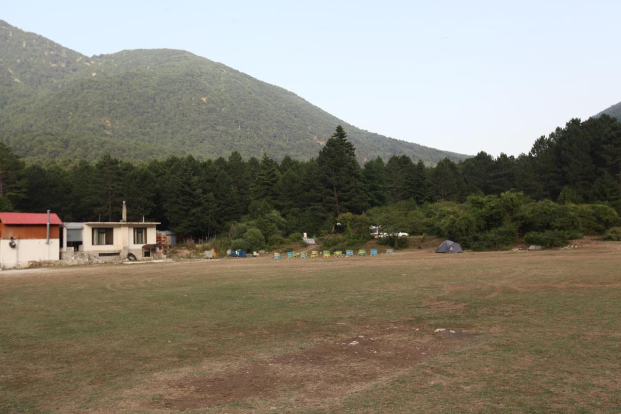 Hamiti Camping Center Dukat Zewnętrze zdjęcie